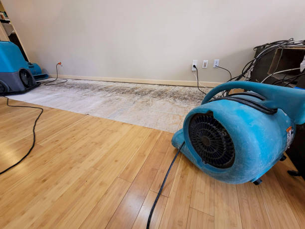 Professional Structural Drying technician working in Harrah, OK